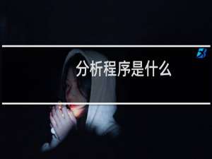 分析程序是什么