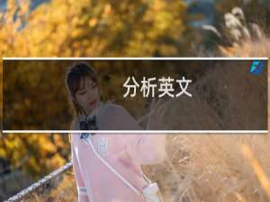 分析英文
