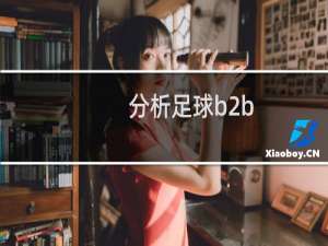 分析足球b2b