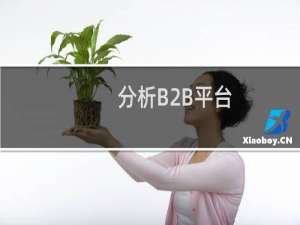 分析B2B平台