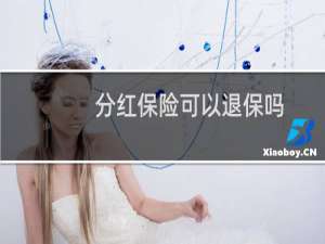 分红保险可以退保吗