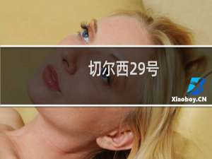切尔西29号