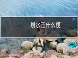 划水王什么梗