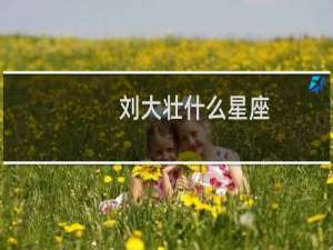 刘大壮什么星座
