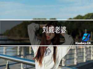 刘威老婆