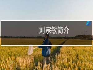 刘宗敏简介，刘宗敏是怎么死的？