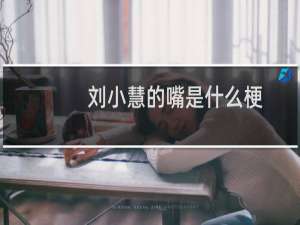 刘小慧的嘴是什么梗