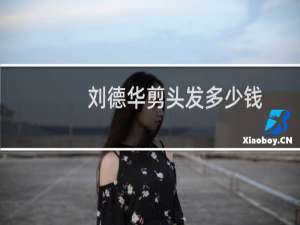 刘德华剪头发多少钱