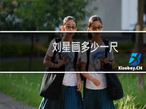 刘星画多少一尺