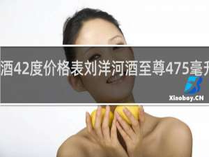 刘洋河酒42度价格表刘洋河酒至尊475毫升多少钱一瓶