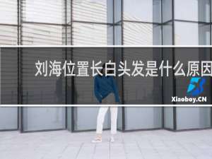 刘海位置长白头发是什么原因