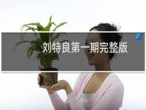 刘特良第一期完整版（刘特简介）