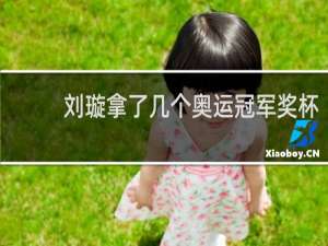 刘璇拿了几个奥运冠军奖杯