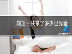 刘翔一共拿了多少世界金牌