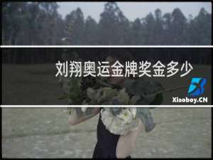 刘翔奥运金牌奖金多少