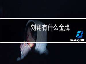 刘翔有什么金牌