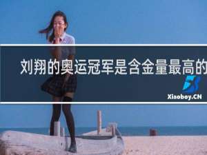 刘翔的奥运冠军是含金量最高的吗