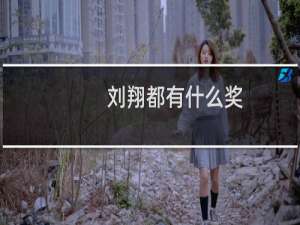 刘翔都有什么奖