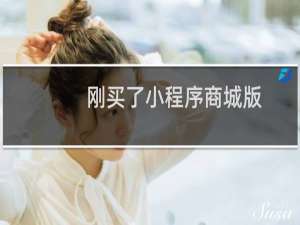 刚买了小程序商城版，在线支付不行