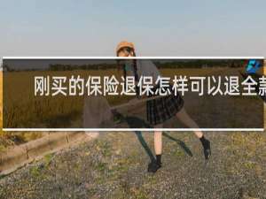 刚买的保险退保怎样可以退全款