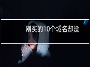 刚买的10个域名却没办法解析生效