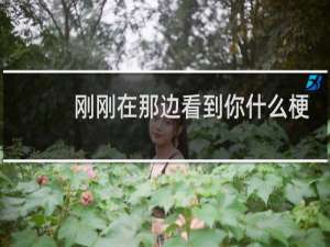 刚刚在那边看到你什么梗