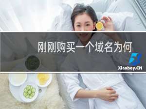 刚刚购买一个域名为何不能转出到别的平台