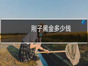 刚子黑金多少钱