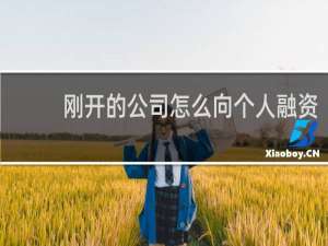 刚开的公司怎么向个人融资
