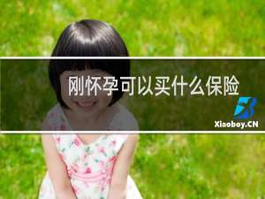 刚怀孕可以买什么保险