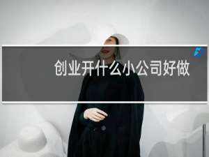 创业开什么小公司好做