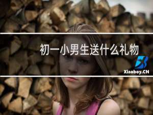 初一小男生送什么礼物