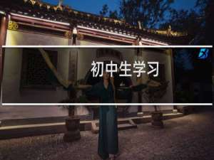 初中生学习