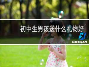 初中生男孩送什么礼物好