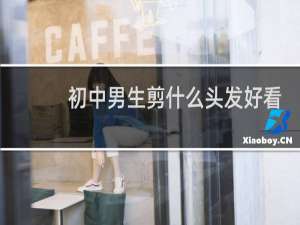 初中男生剪什么头发好看