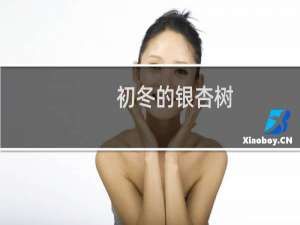 初冬的银杏树
