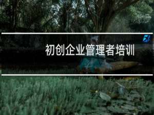 初创企业管理者培训
