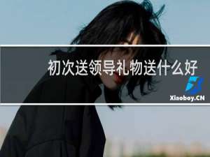 初次送领导礼物送什么好