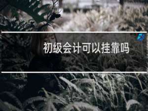 初级会计可以挂靠吗