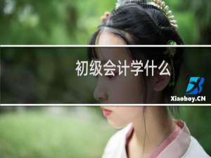 初级会计学什么