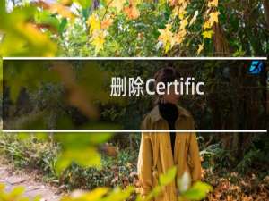 删除Certificate键重启后可以恢复吗