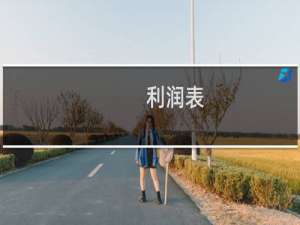 利润表