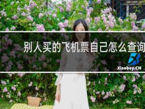 别人买的飞机票自己怎么查询