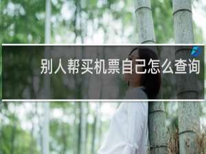 别人帮买机票自己怎么查询