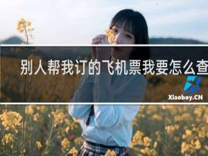 别人帮我订的飞机票我要怎么查询