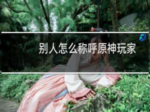 别人怎么称呼原神玩家