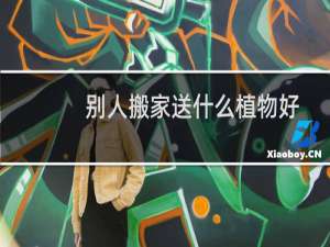 别人搬家送什么植物好