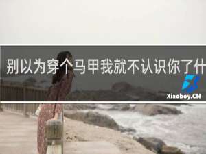 别以为穿个马甲我就不认识你了什么梗