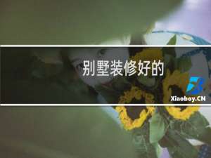 别墅装修好的