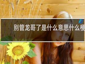 别管龙哥了是什么意思什么梗